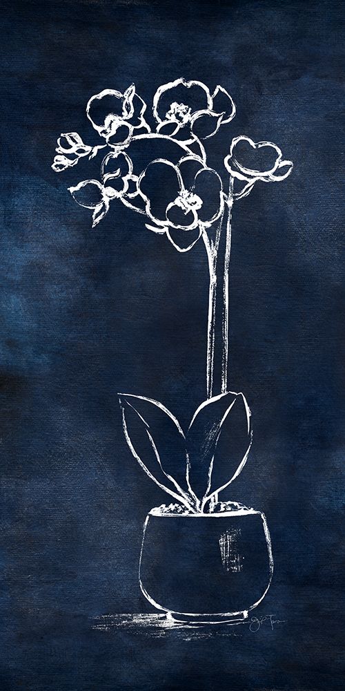 Indigo Orchid II art print by Tava Studios for $57.95 CAD