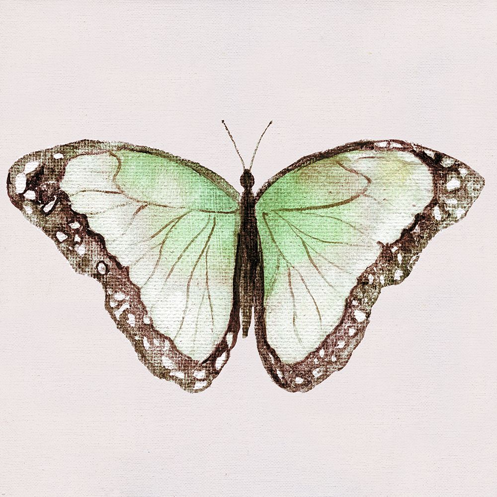 Emerald Butterfly I art print by Tava Studios for $57.95 CAD