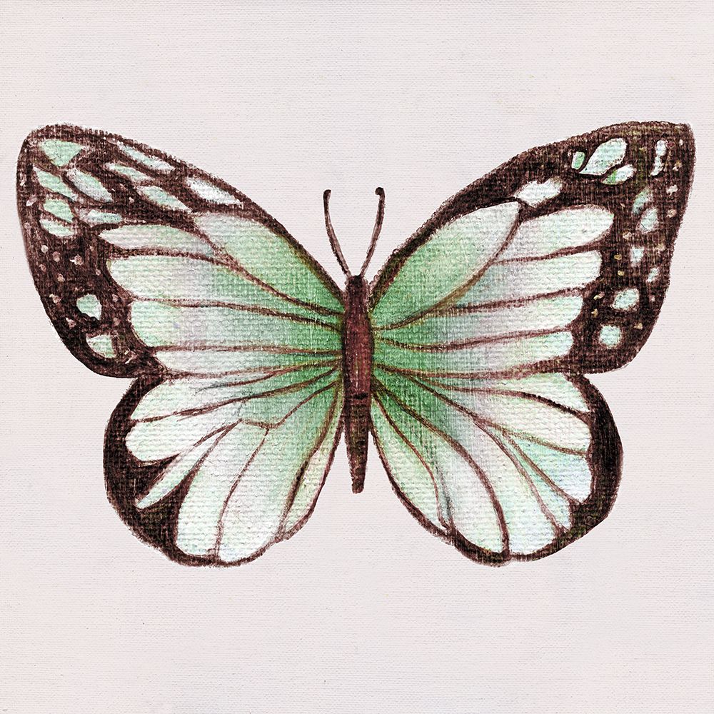 Emerald Butterly II art print by Tava Studios for $57.95 CAD