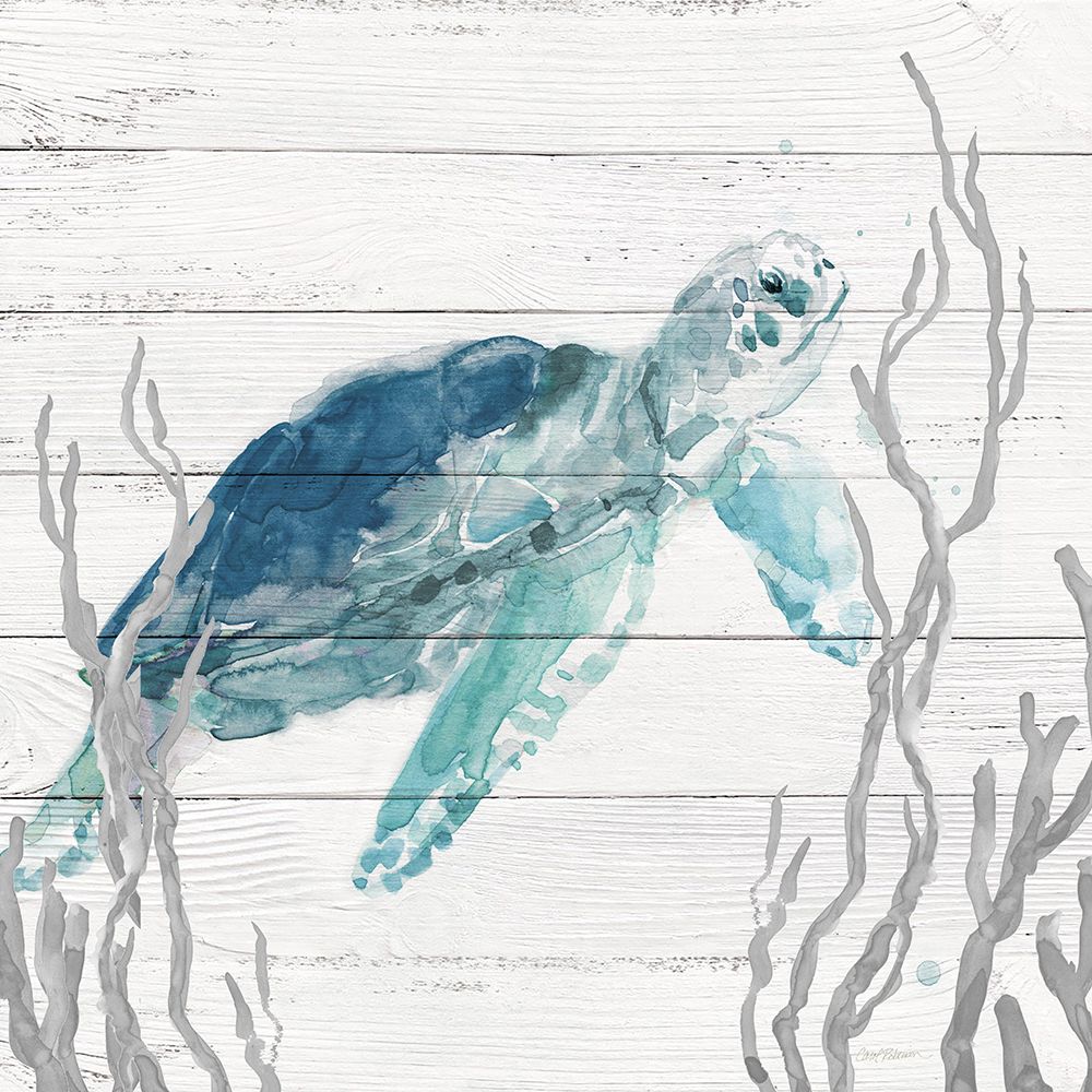 Aqua Turtle I art print by Carol Robinson for $57.95 CAD