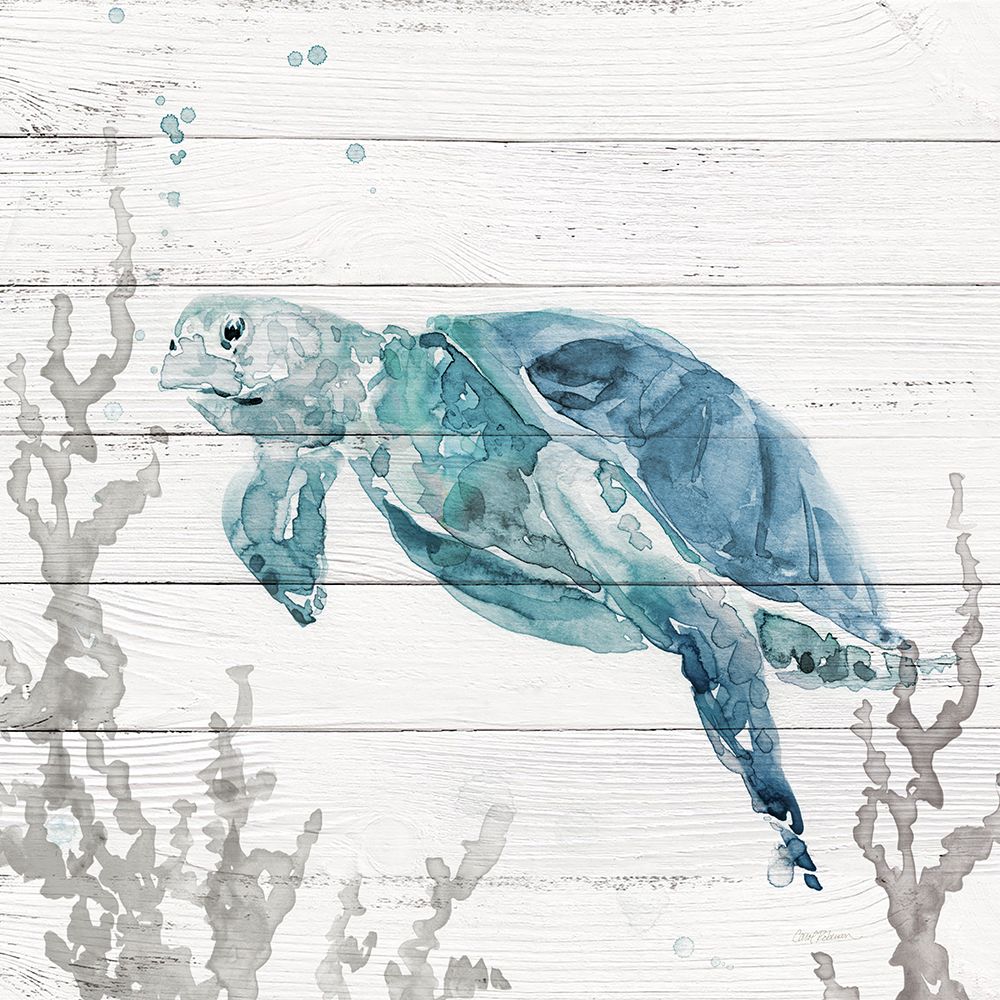 Aqua Turtle II art print by Carol Robinson for $57.95 CAD