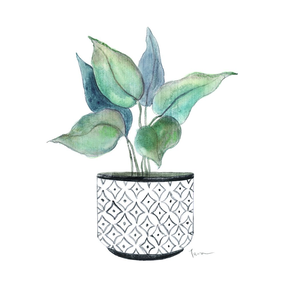 Modern Botany Blue I art print by Tava Studios for $57.95 CAD