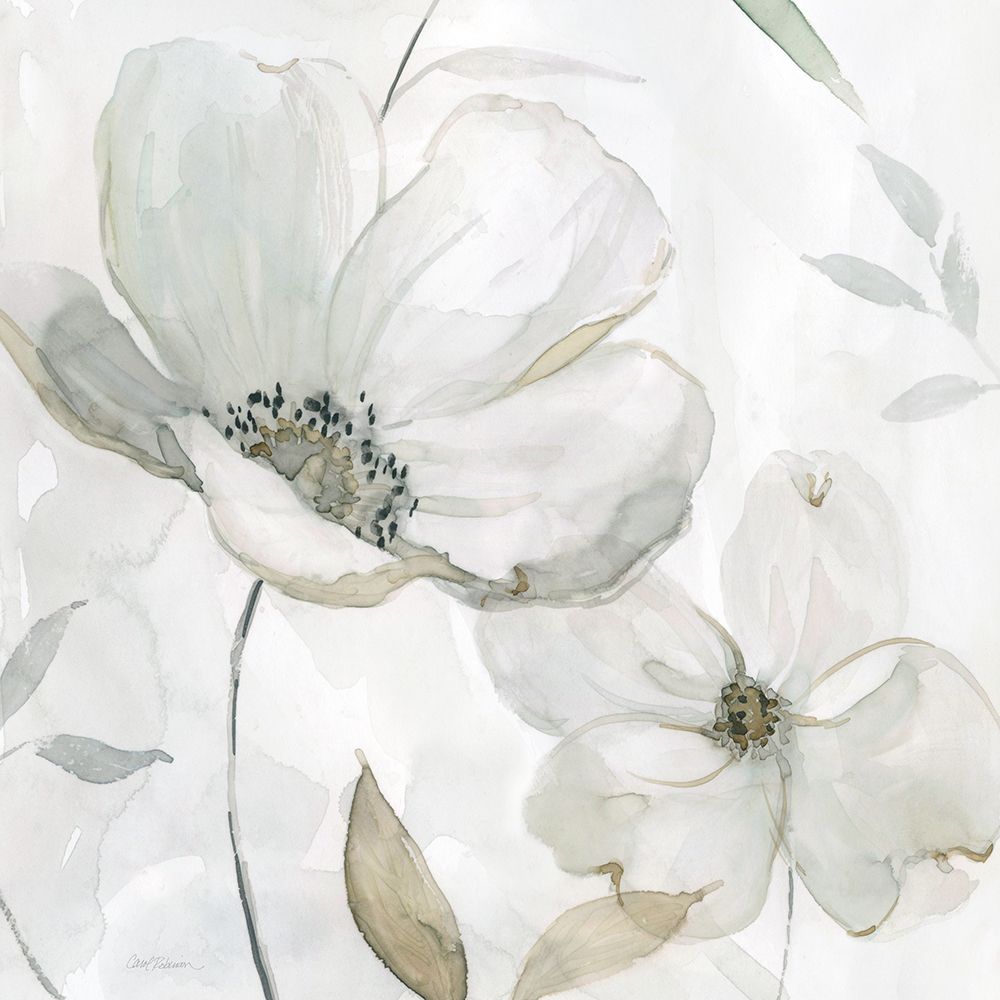 White Whispers I art print by Carol Robinson for $57.95 CAD