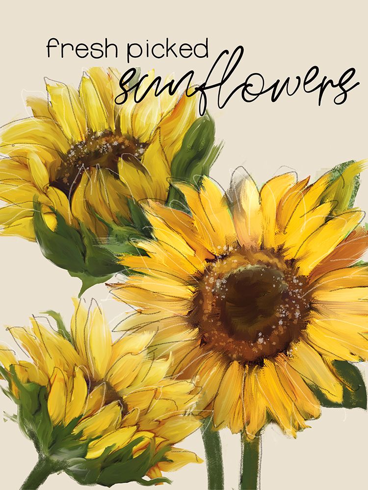 Fresh Picked Sunflowers art print by Conrad Knutsen for $57.95 CAD