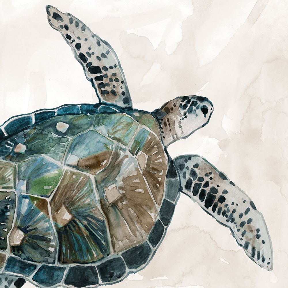 Neutral Sea Turtle I art print by Carol Robinson for $57.95 CAD