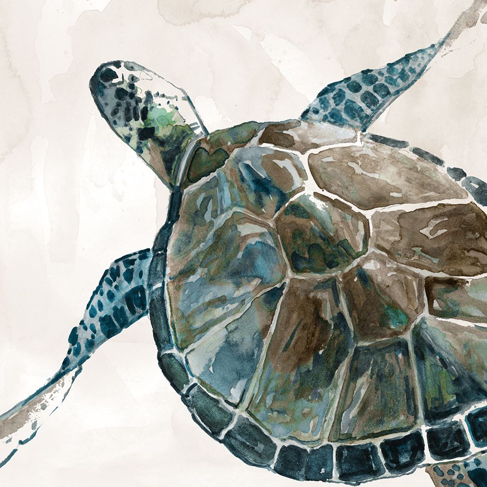 Neutral Sea Turtle II art print by Carol Robinson for $57.95 CAD