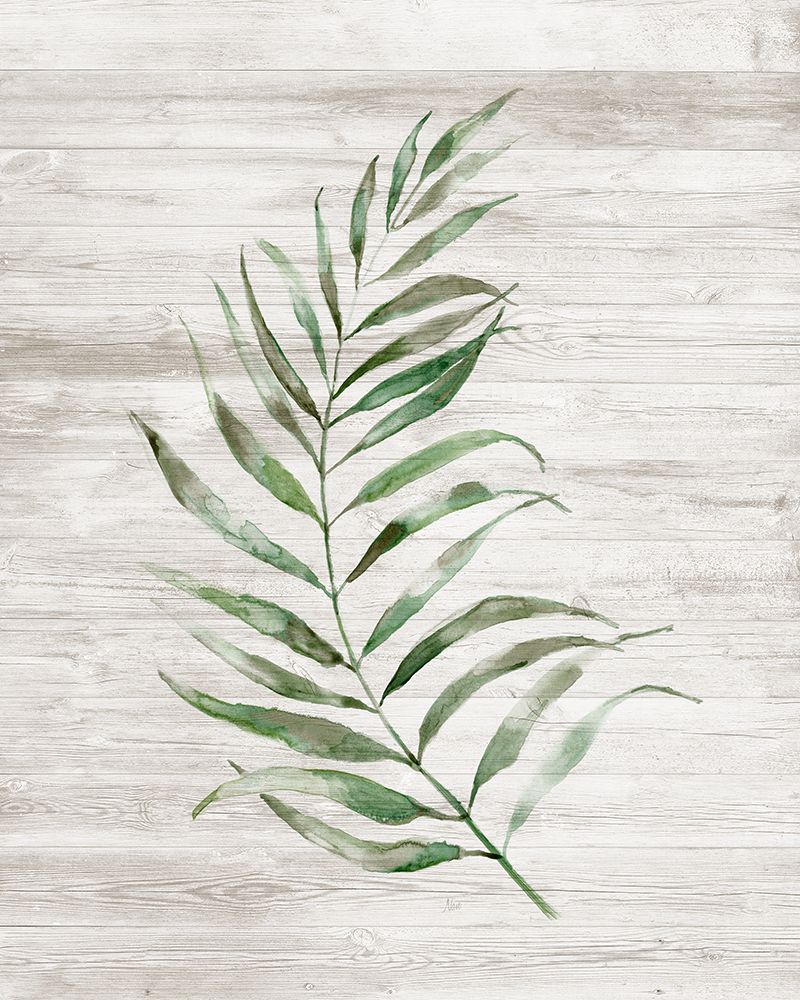 Tropic Frond I art print by Nan for $57.95 CAD