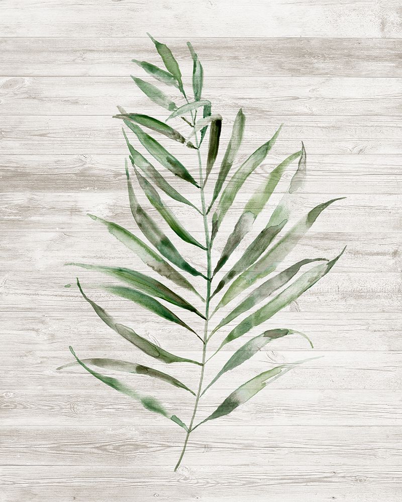 Tropic Frond II art print by Nan for $57.95 CAD