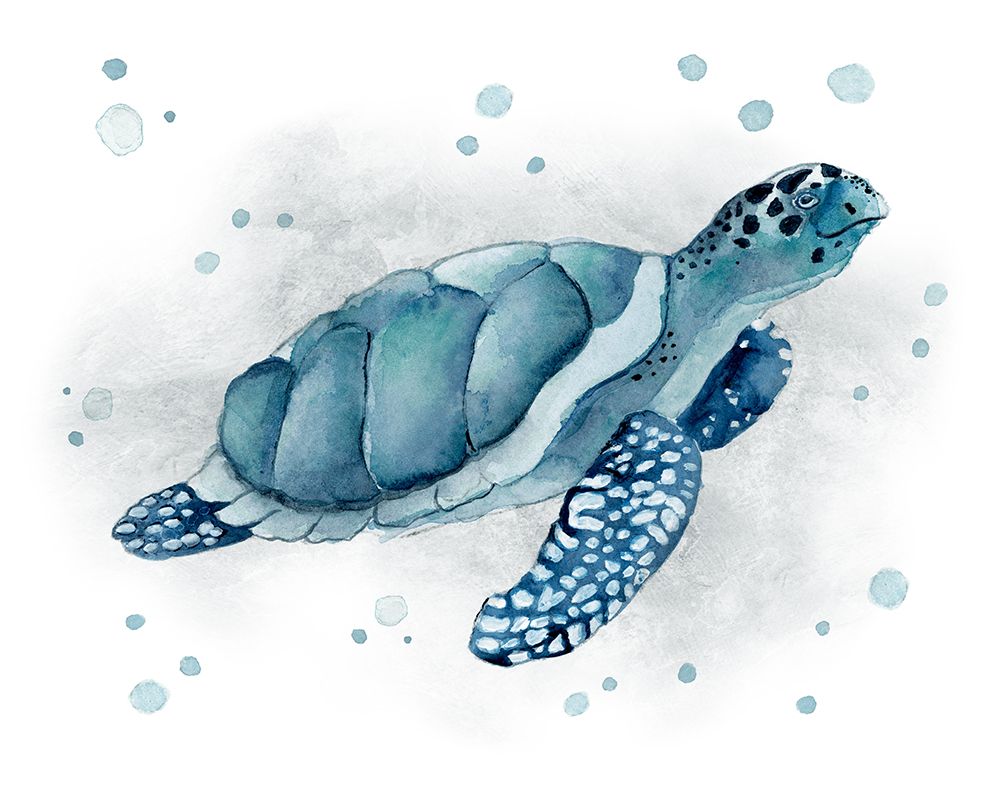 Blue Turtle I art print by Tava Studios for $57.95 CAD