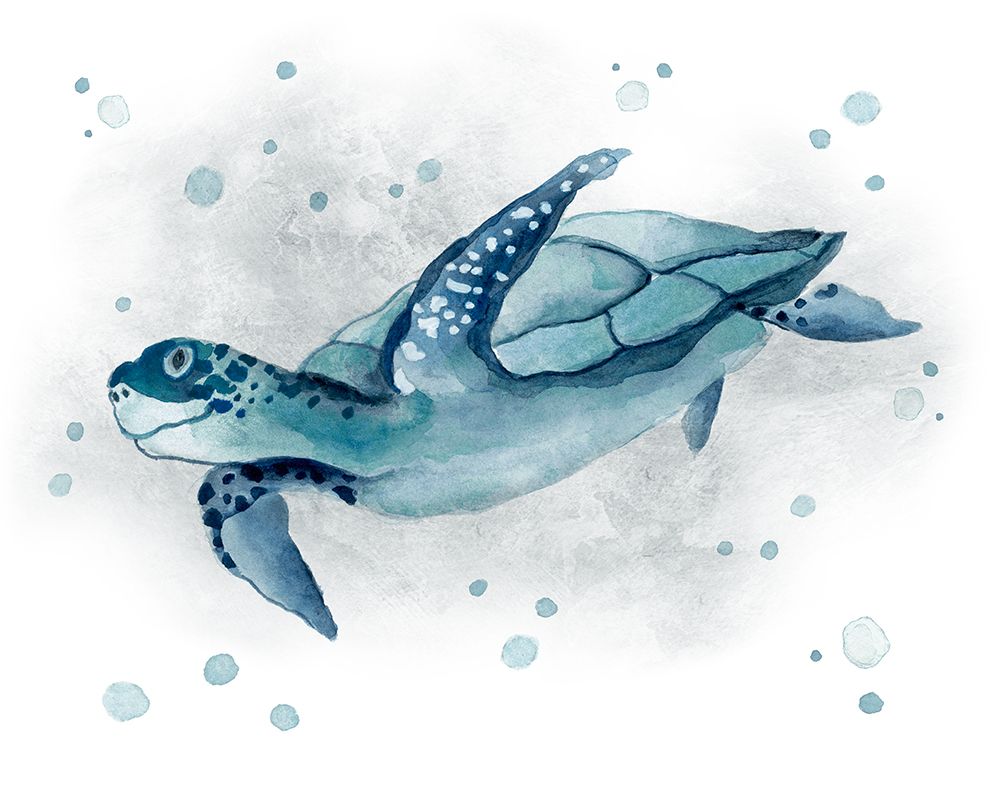 Blue Turtle II art print by Tava Studios for $57.95 CAD