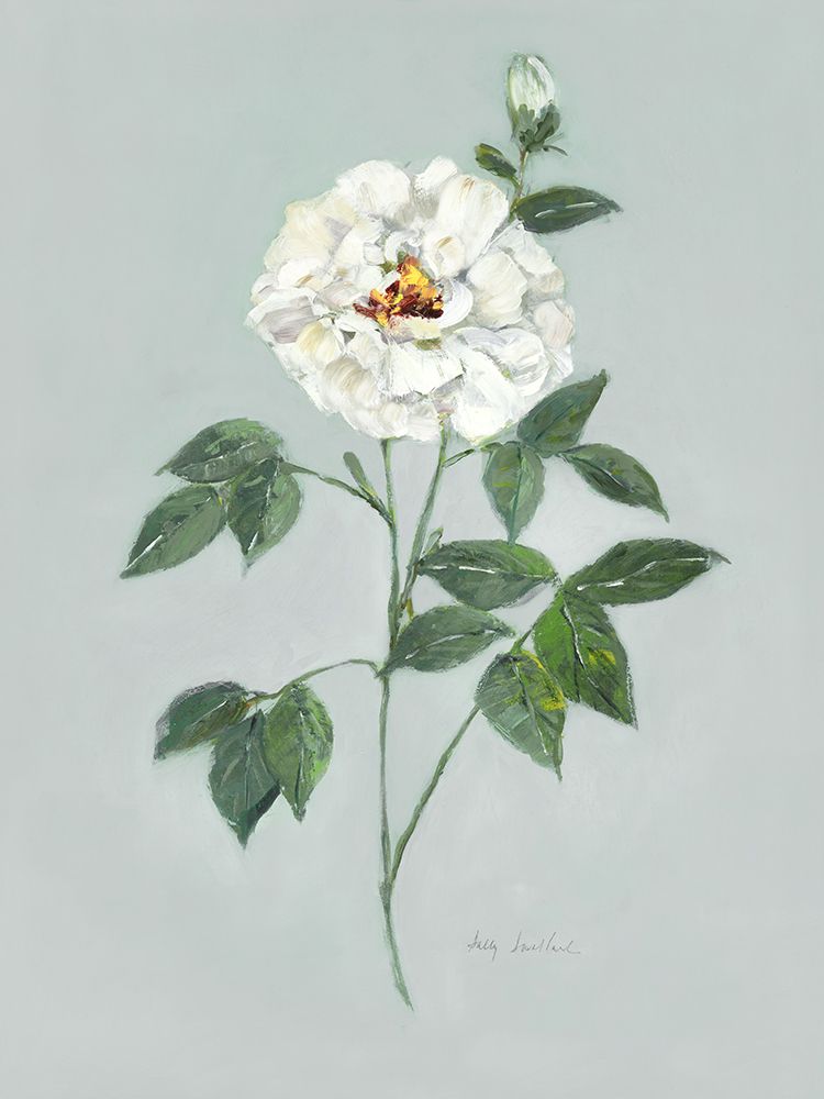 Rose Beauty II art print by Sally Swatland for $57.95 CAD