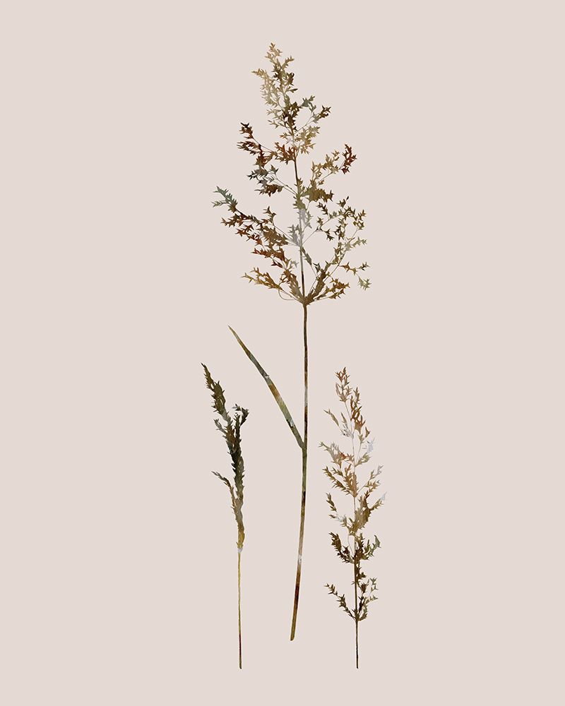 Delicate Stems II art print by Carol Robinson for $57.95 CAD