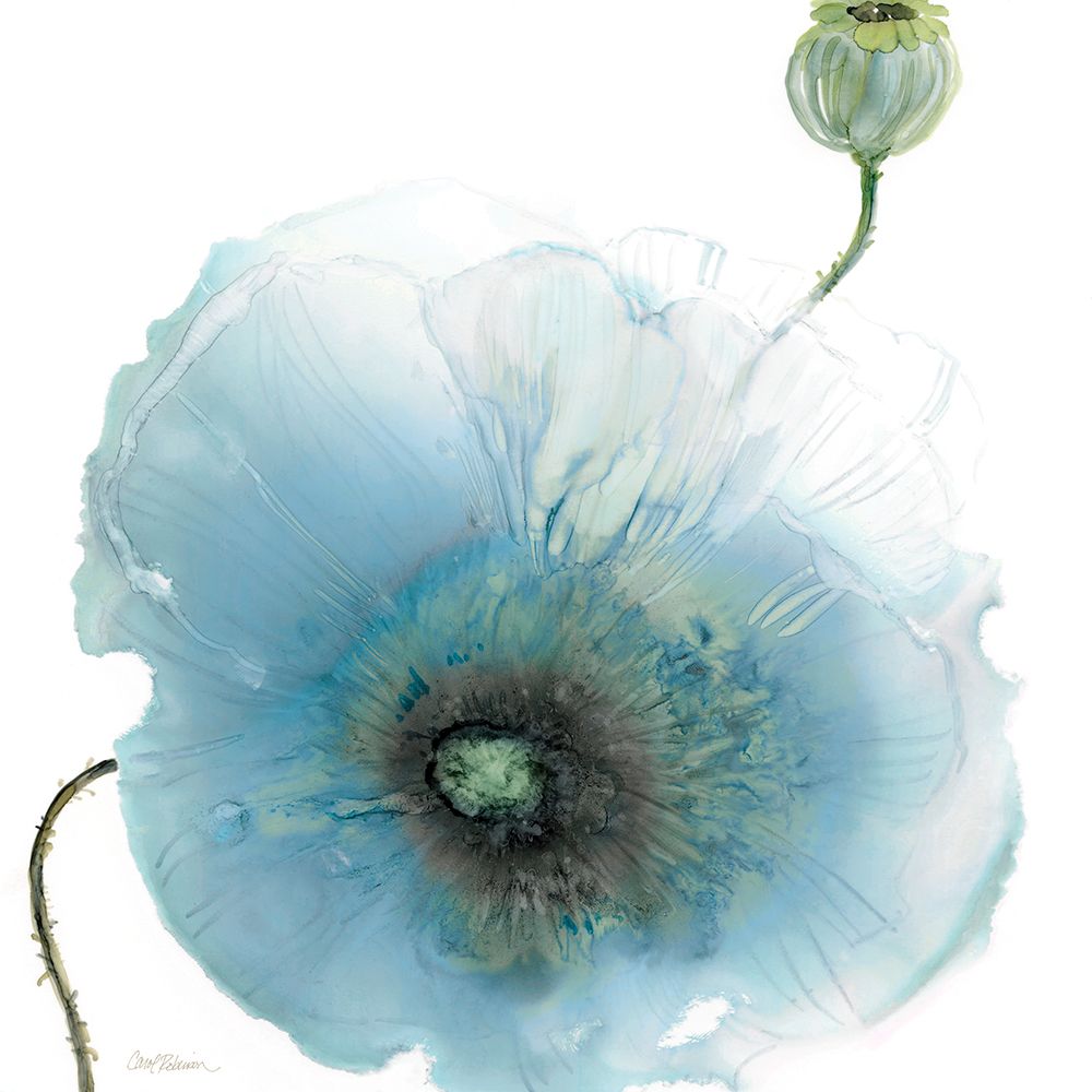 Iridescent Blue Poppy I art print by Carol Robinson for $57.95 CAD