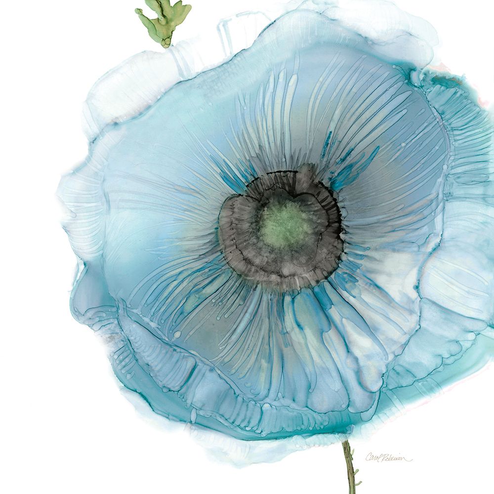 Iridescent Blue Poppy II art print by Carol Robinson for $57.95 CAD