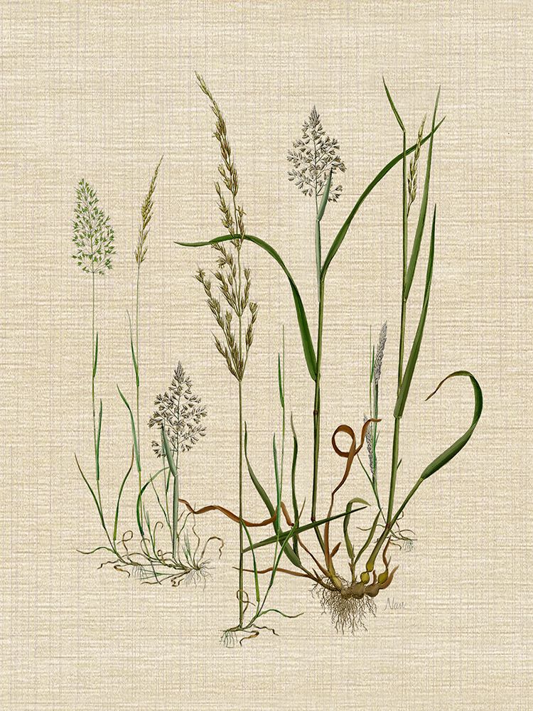 Linen Grassses II art print by Nan for $57.95 CAD