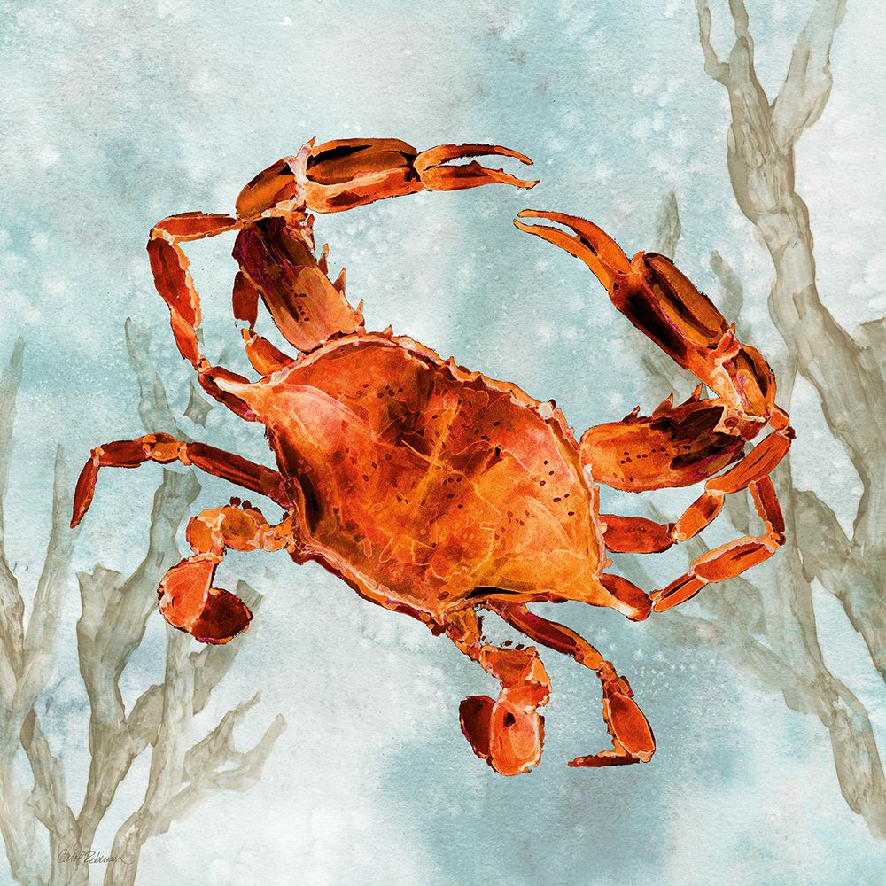 Scarlet Crab art print by Carol Robinson for $57.95 CAD