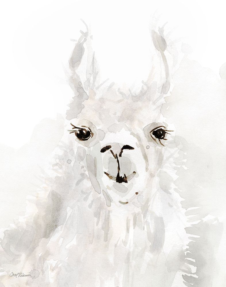 Sweet Llama I art print by Carol Robinson for $57.95 CAD