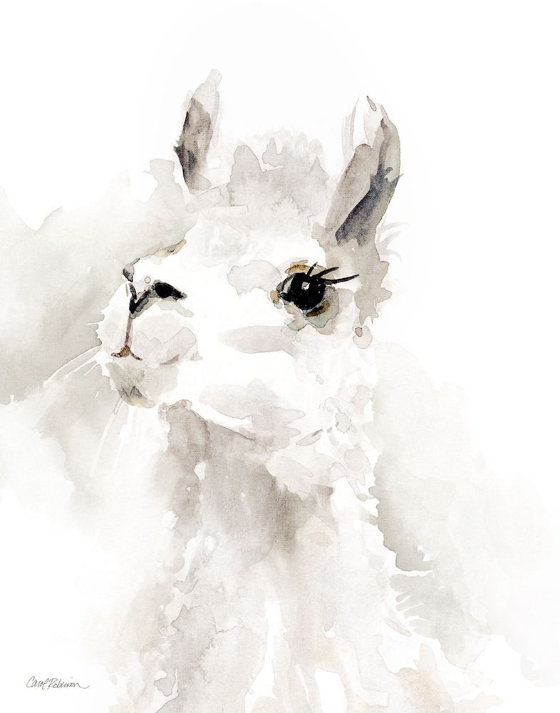Sweet Llama II art print by Carol Robinson for $57.95 CAD
