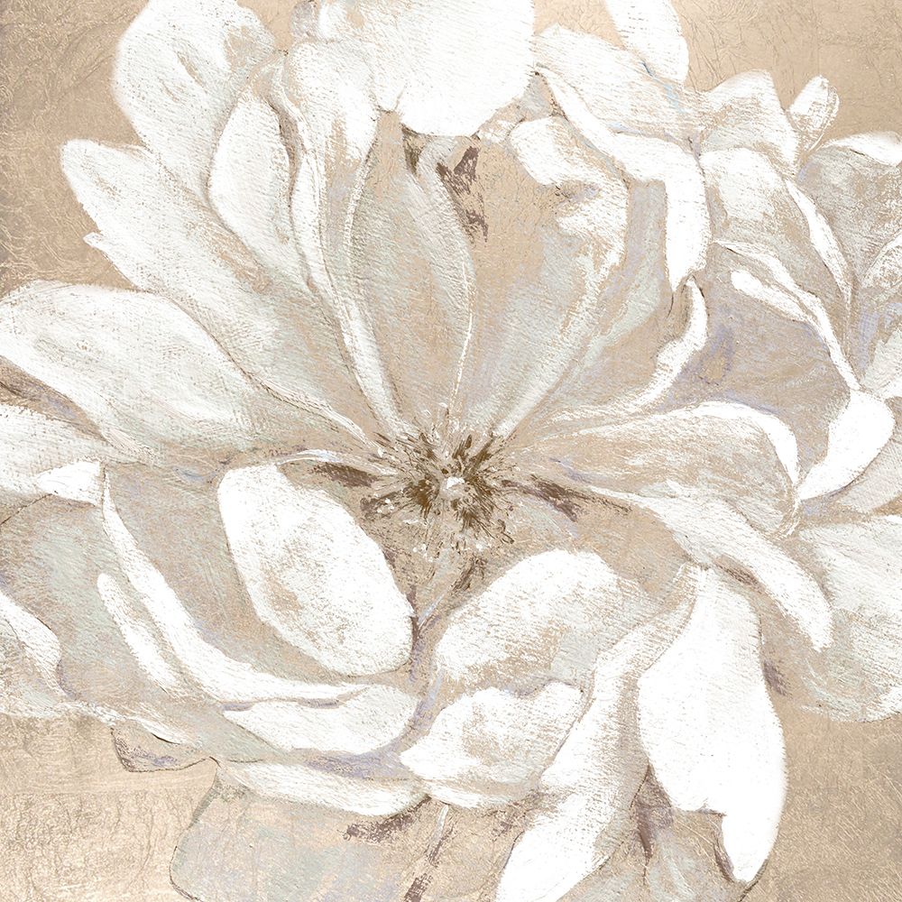 Blushing Bloom I art print by Carol Robinson for $57.95 CAD