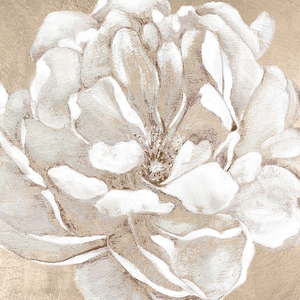 Blushing Bloom II art print by Carol Robinson for $57.95 CAD