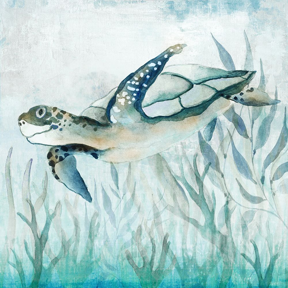 Coastal Turtle II art print by Tava Studios for $57.95 CAD