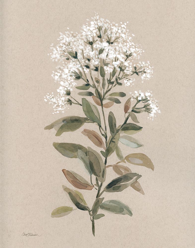 White Floral Stem II art print by Carol Robinson for $57.95 CAD