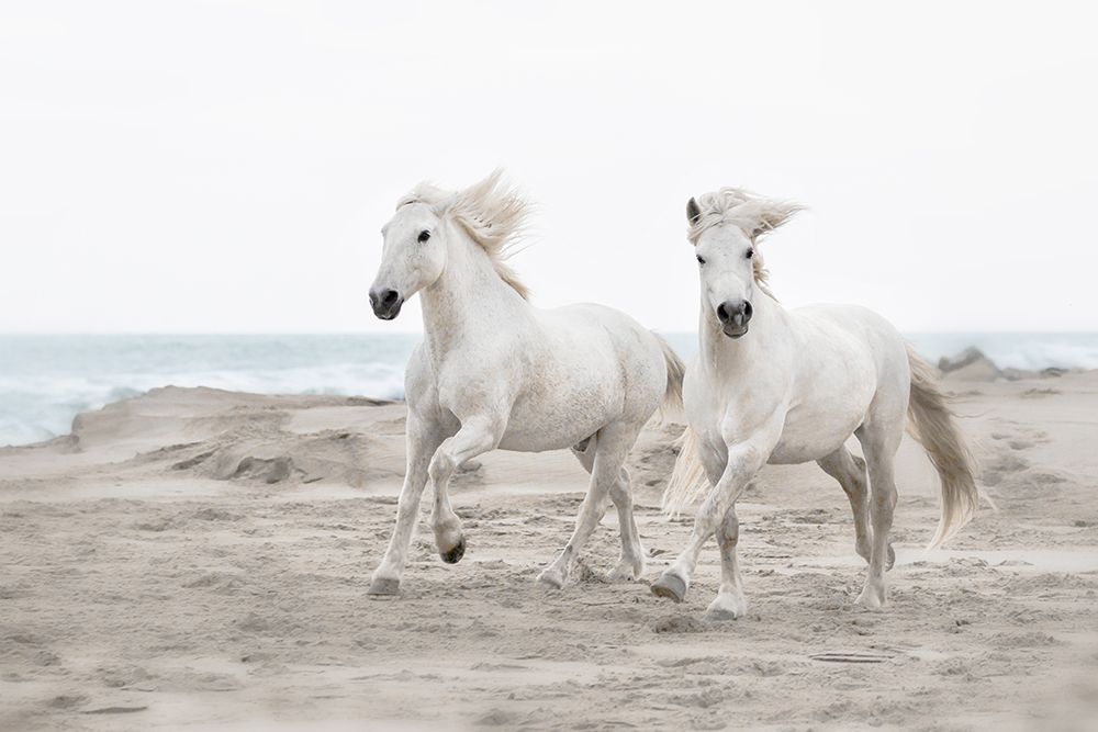 Beach Running art print by Danita Delimont for $57.95 CAD