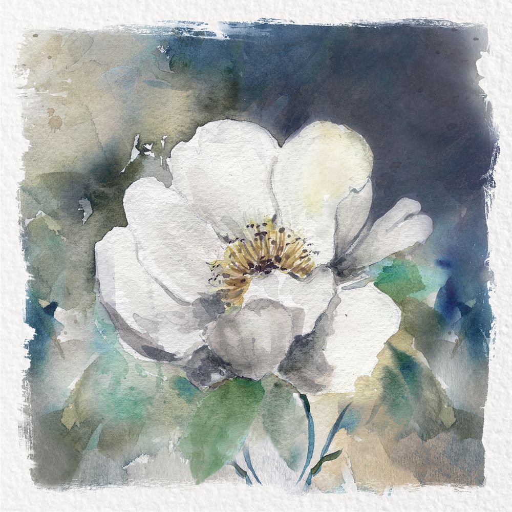 White Washed Peony art print by Carol Robinson for $57.95 CAD