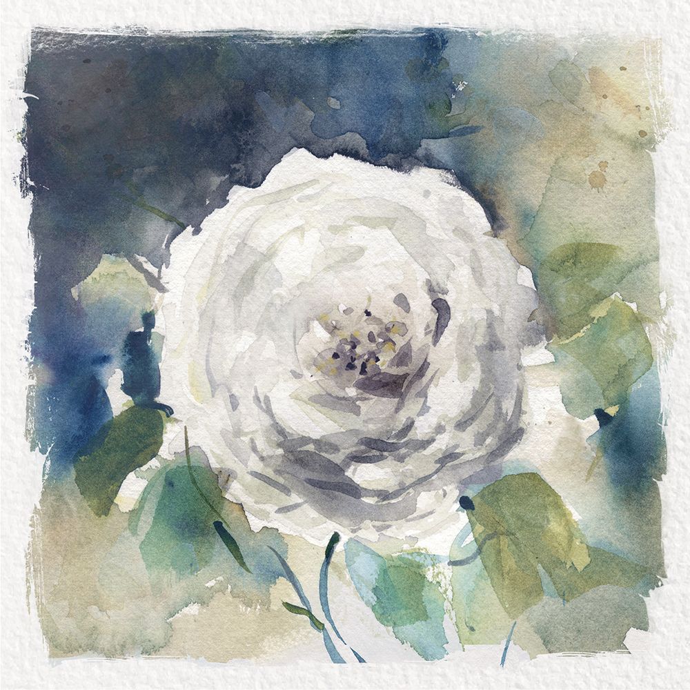 White Washed Rose art print by Carol Robinson for $57.95 CAD