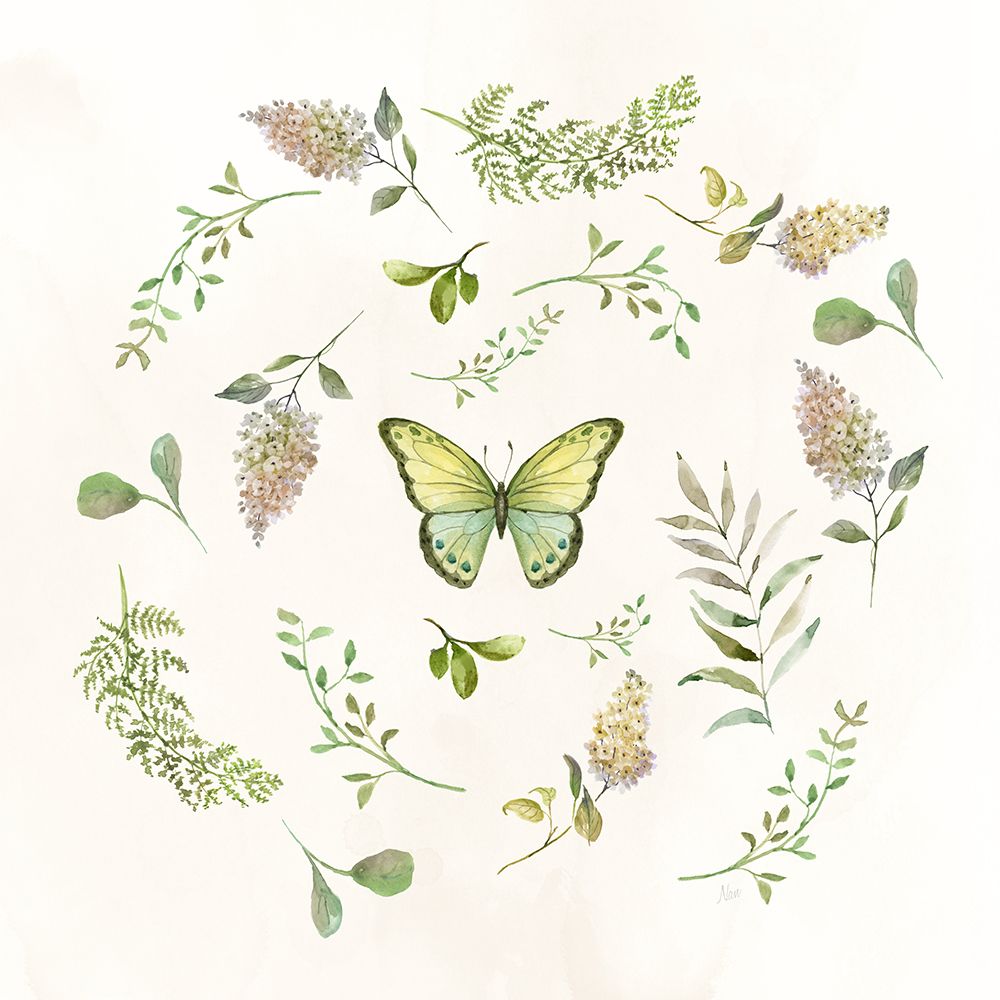 Butterfly Enchantment I art print by Nan for $57.95 CAD