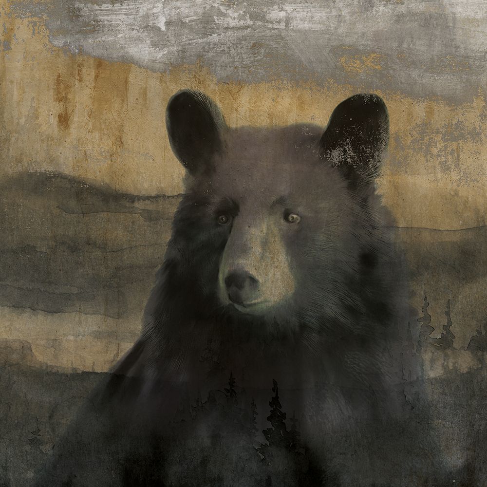 Forest Black Bear art print by Carol Robinson for $57.95 CAD