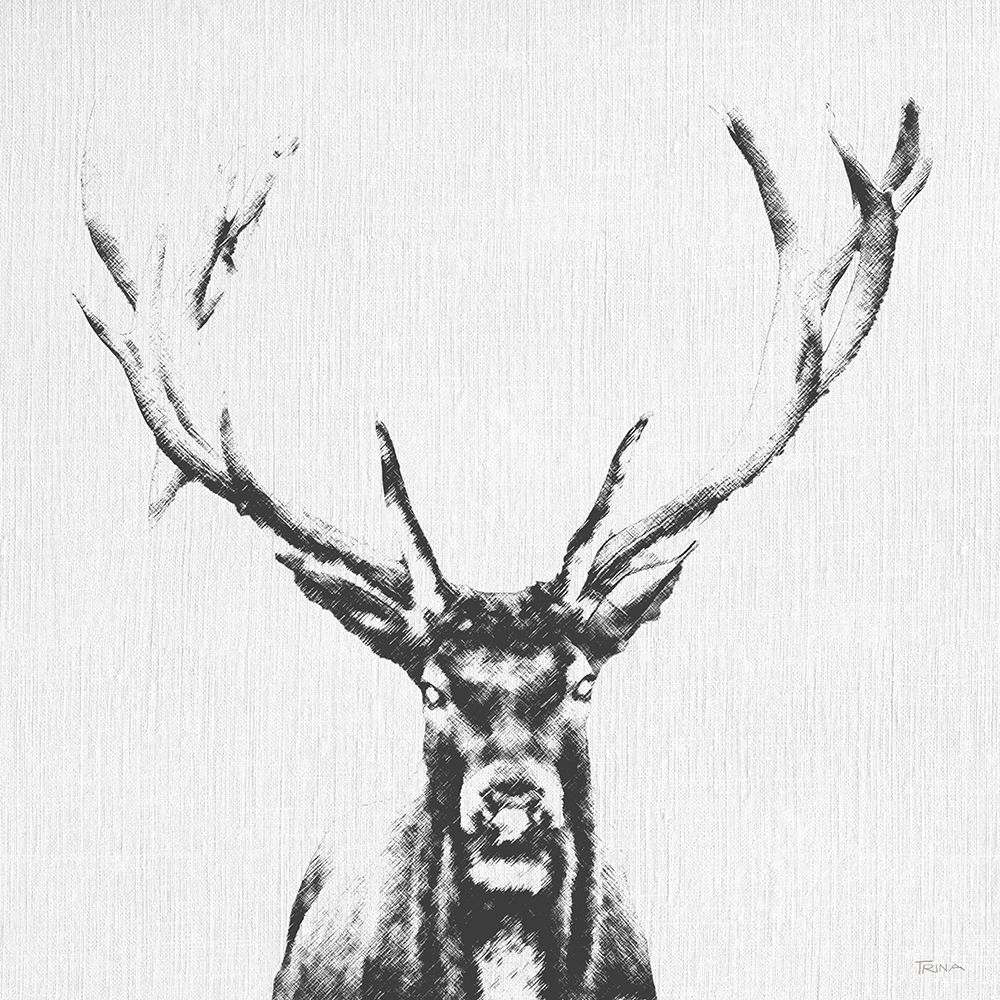 Graphite Deer art print by Katrina Craven for $57.95 CAD