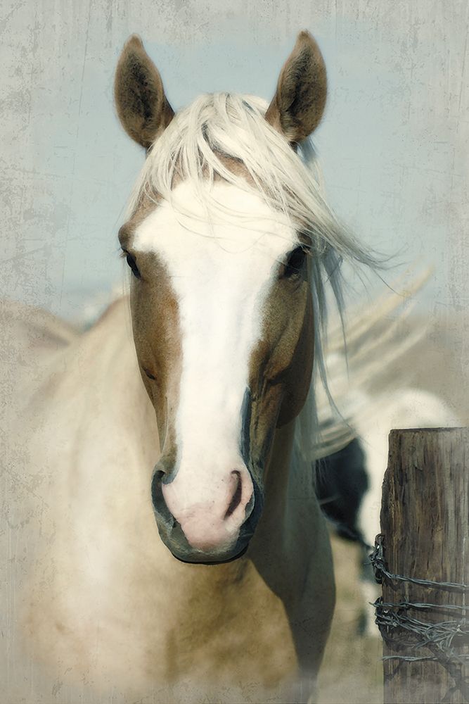 Horse Unrepeatable art print by Rhonda Addison for $57.95 CAD