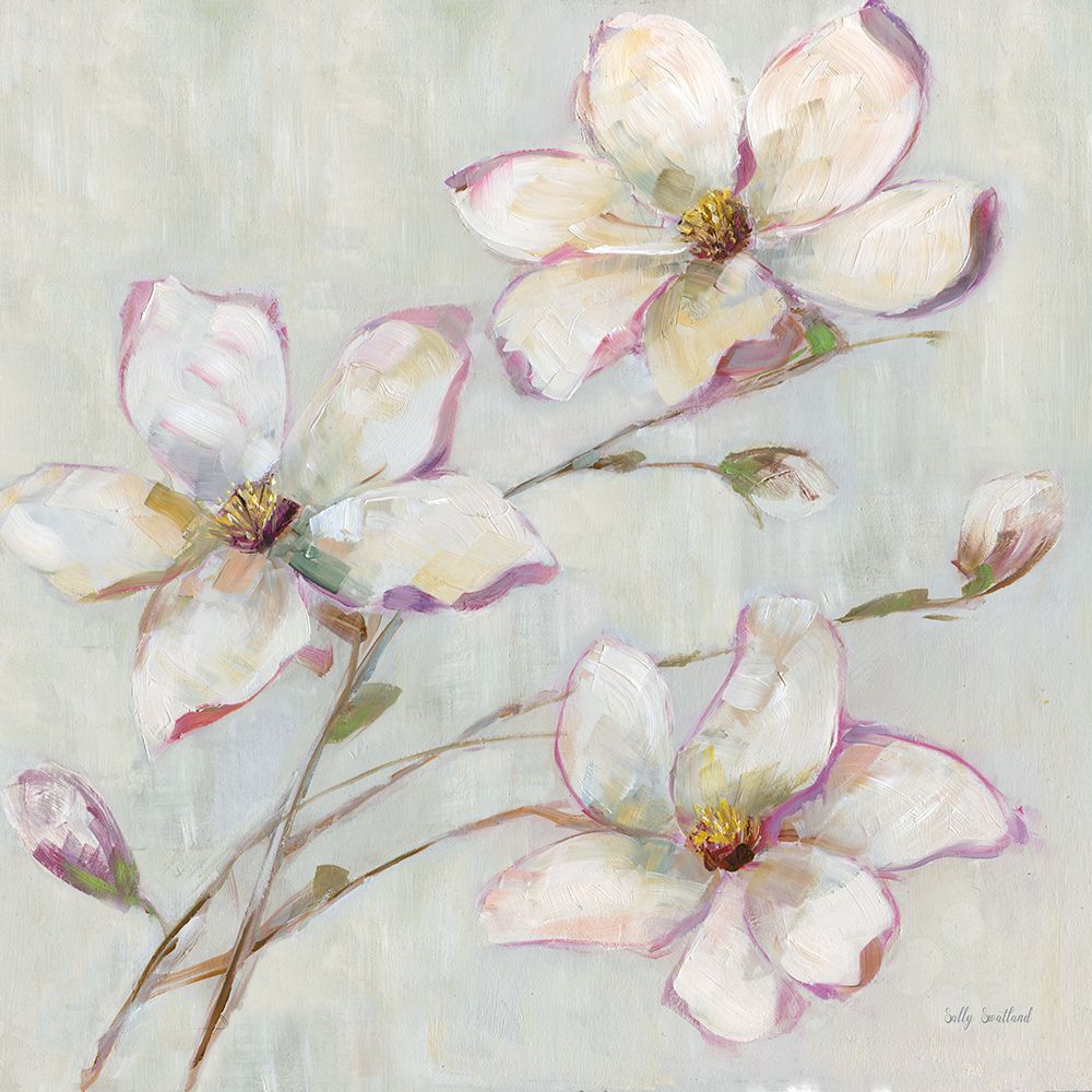 Blushing Magnolia II art print by Sally Swatland for $57.95 CAD