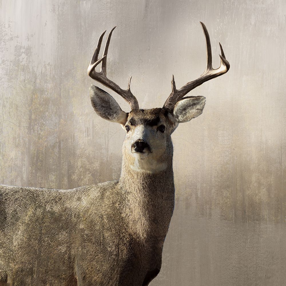 Young Buck art print by Nan for $57.95 CAD