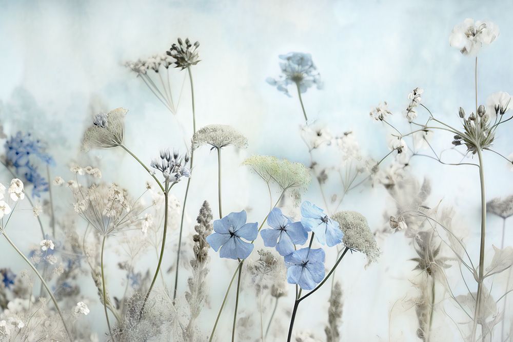 Periwinkle Sunrise art print by Irene Weisz for $57.95 CAD