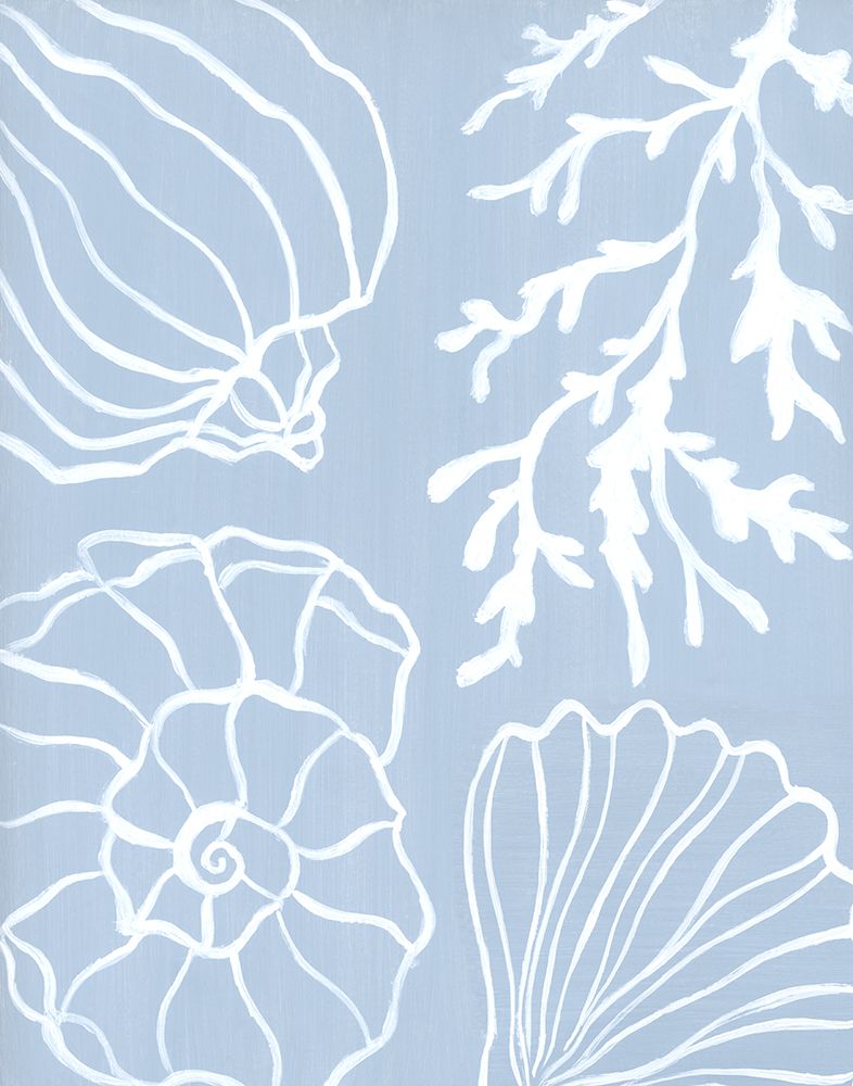 Shell Silhouettes II art print by Tava Studios for $57.95 CAD