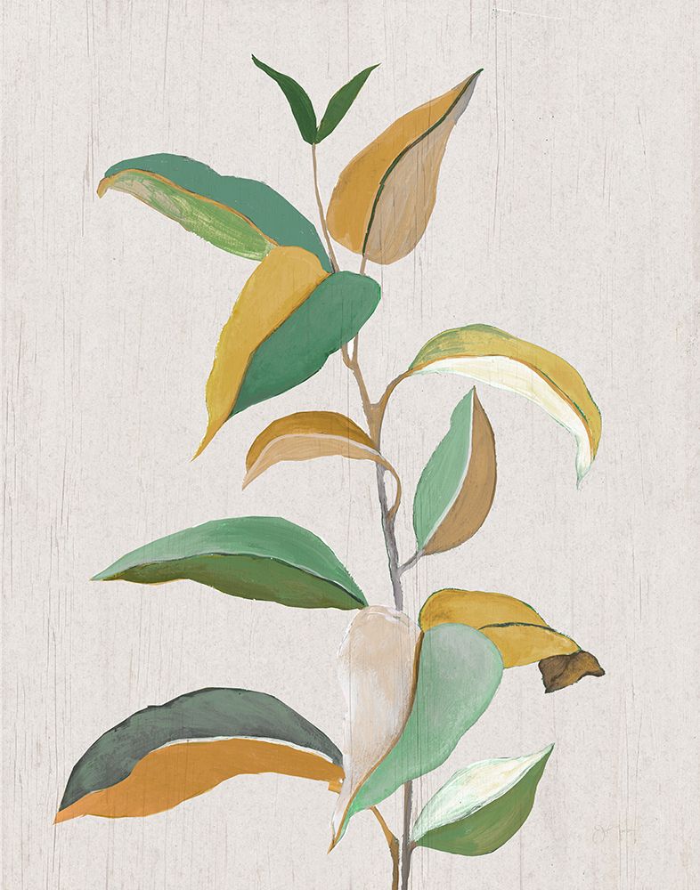 Touched with Sage I art print by Tava Studios for $57.95 CAD