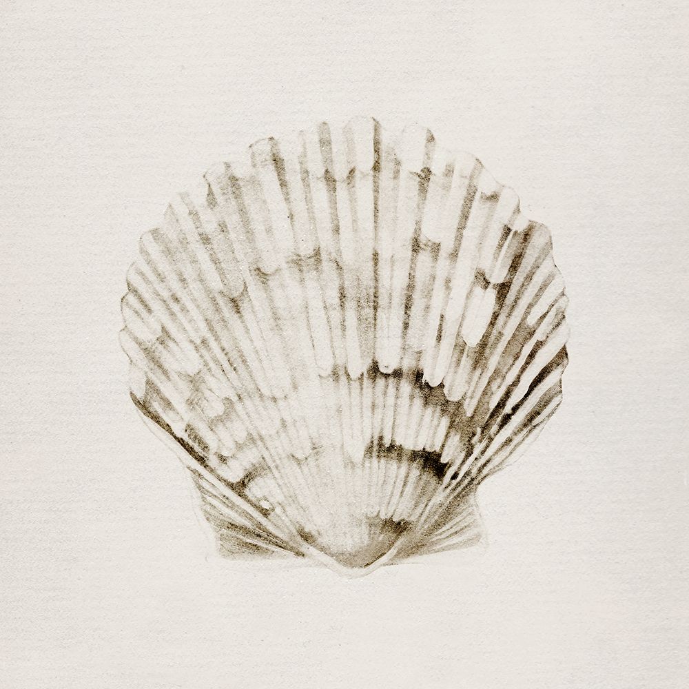 Vintage Shell I art print by Carol Robinson for $57.95 CAD