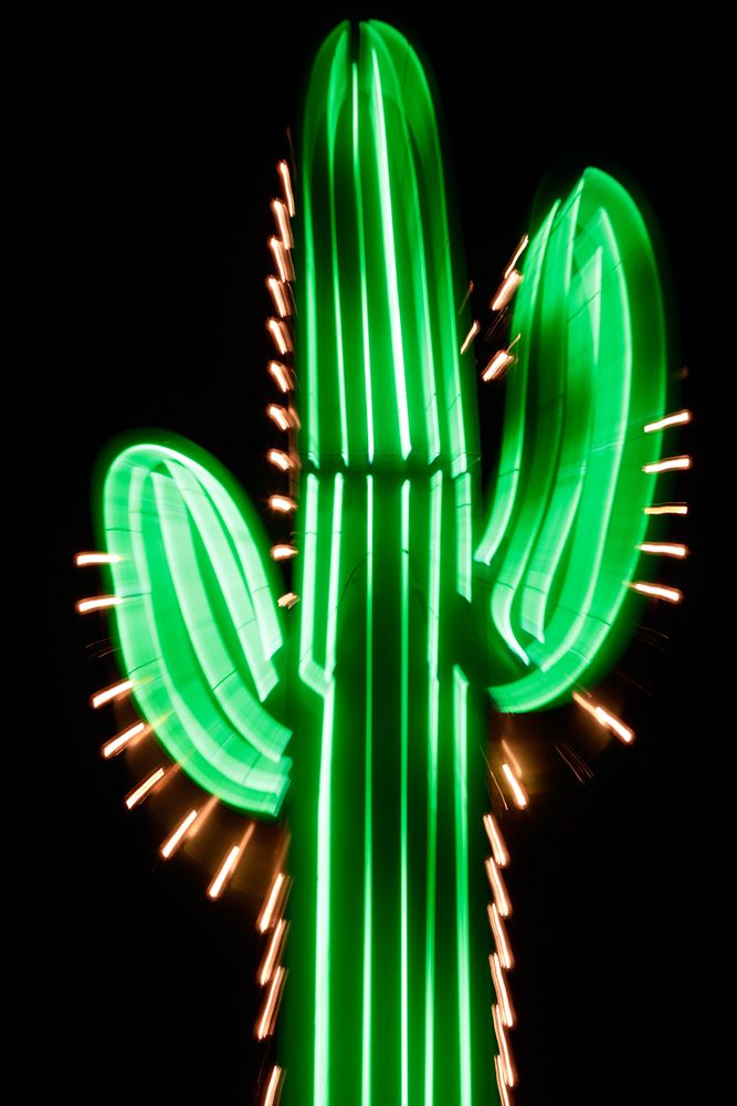 Neon Cactus art print by Danita Delimont for $57.95 CAD
