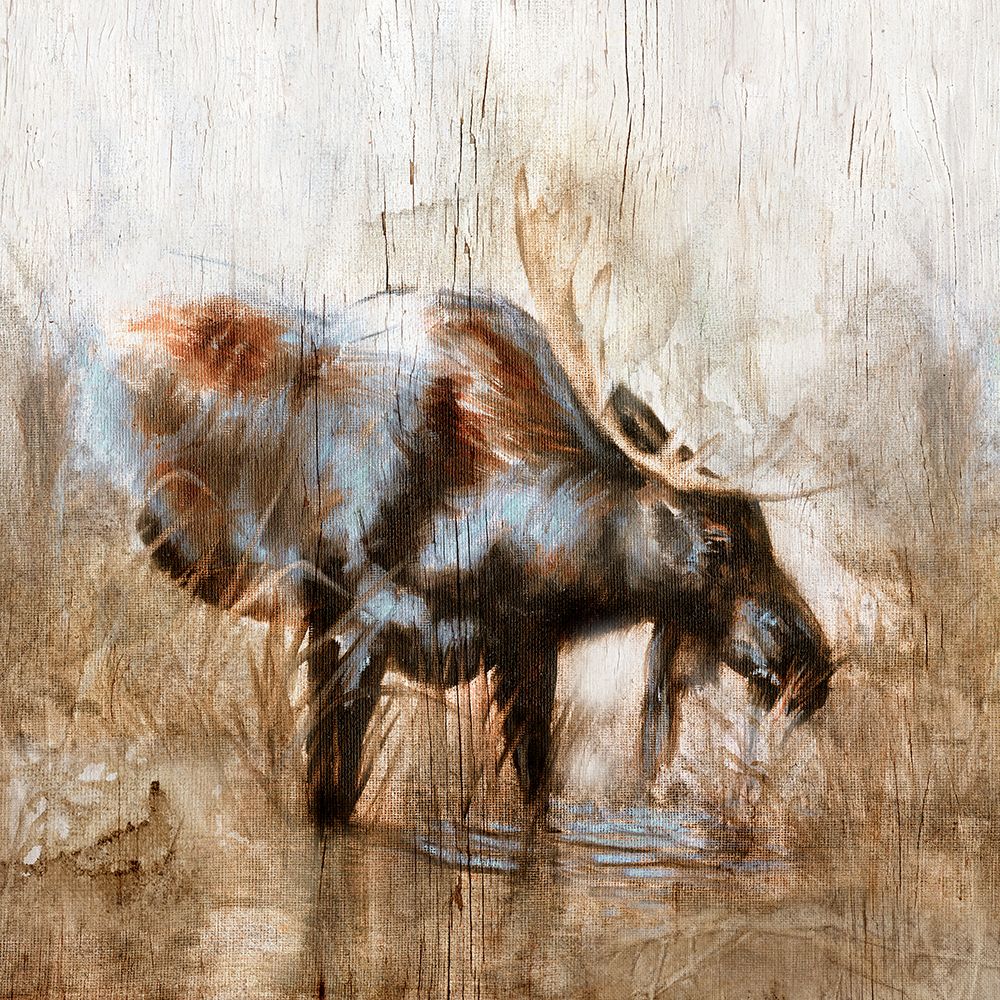 Grazing Moose art print by Donna Brooks for $57.95 CAD