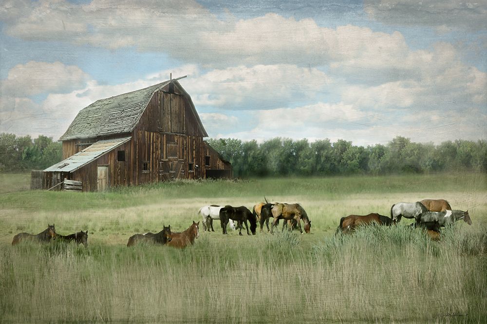 Serenity Pasture art print by Rhonda Addison for $57.95 CAD