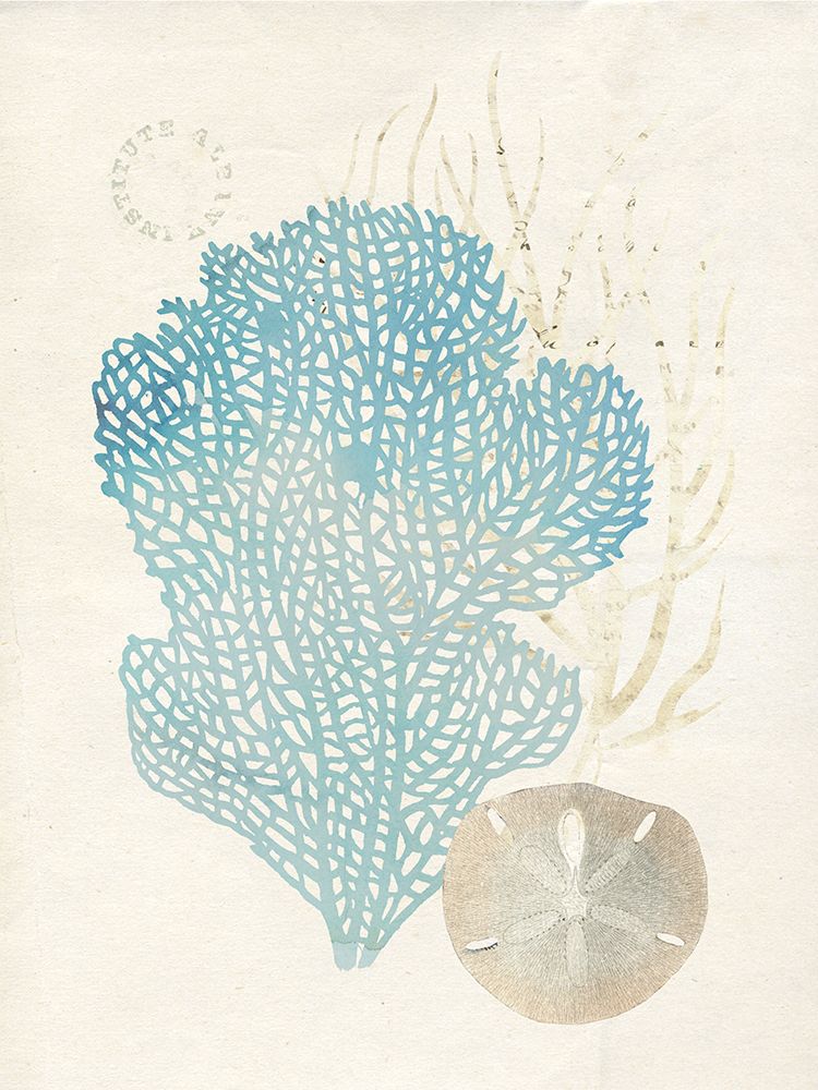 Quiet Coral I art print by Susan Arnot for $57.95 CAD