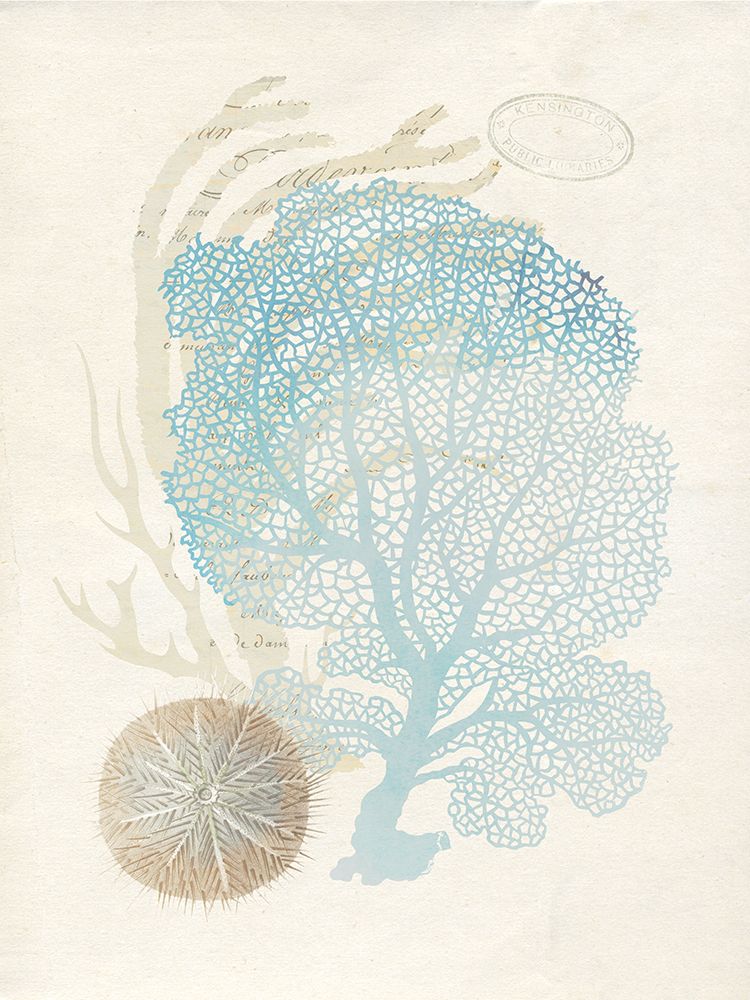 Quiet Coral II art print by Susan Arnot for $57.95 CAD