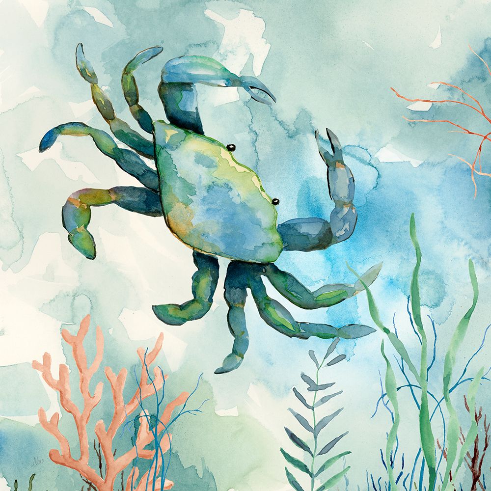 Coral Bay Crab art print by Nan for $57.95 CAD