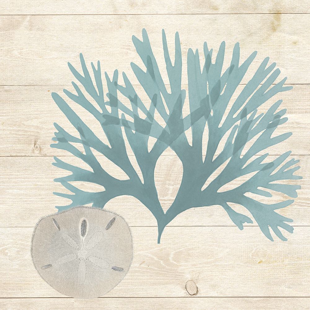 Blue Seaweed II art print by Susan Arnot for $57.95 CAD