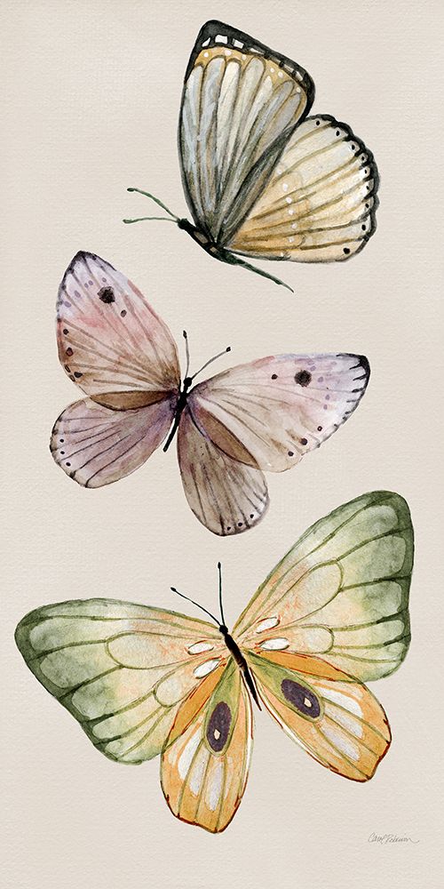 Fly Away I art print by Carol Robinson for $57.95 CAD