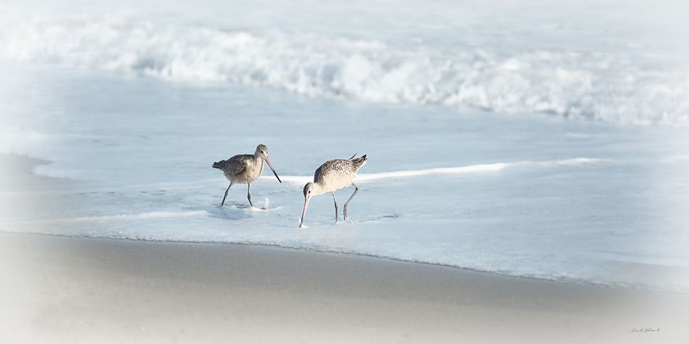 Sandpipers I art print by Rhonda Addison for $57.95 CAD
