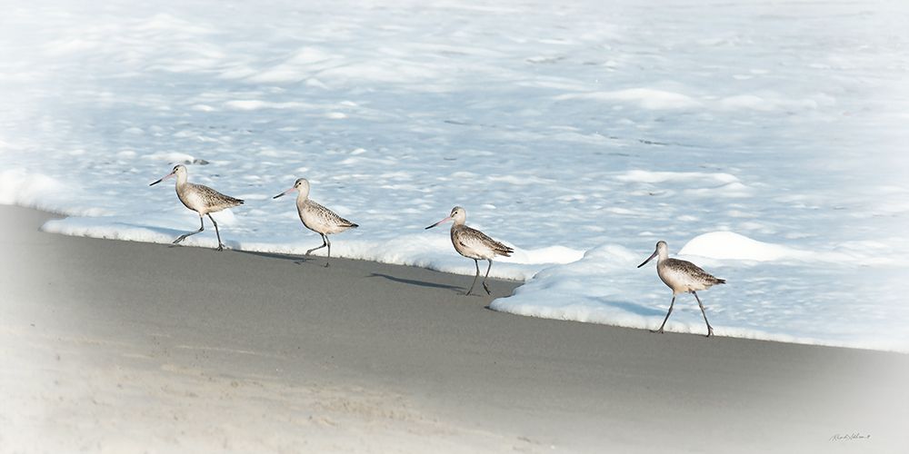 Sandpipers II art print by Rhonda Addison for $57.95 CAD