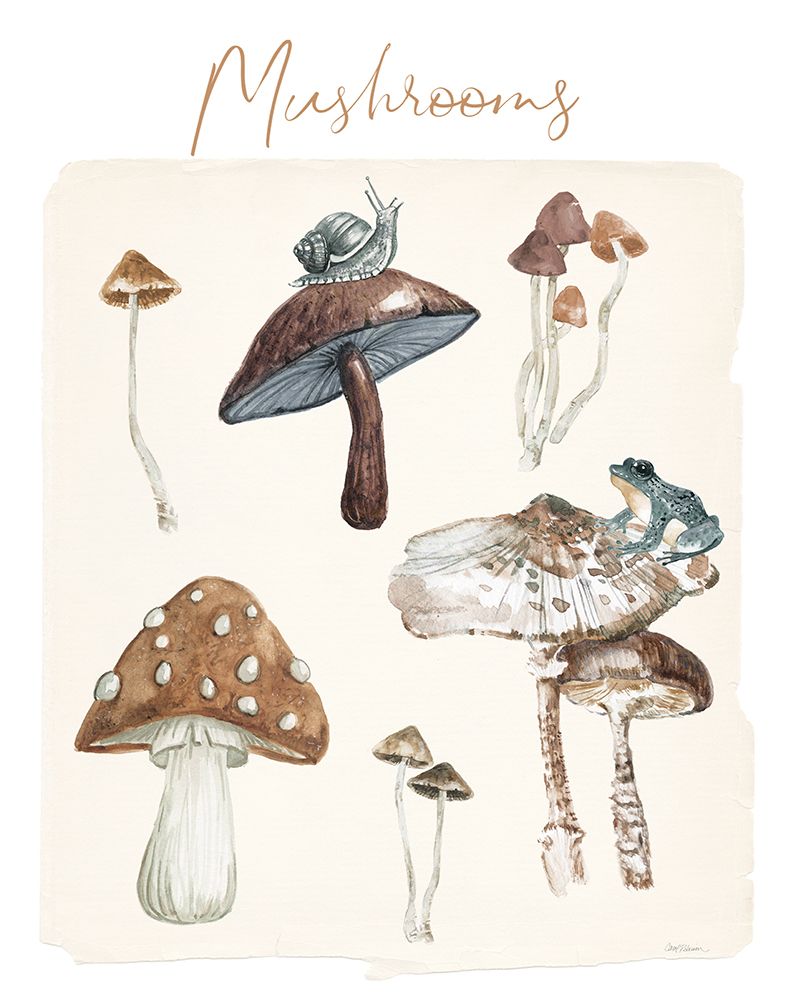 Mushroom Chart art print by Carol Robinson for $57.95 CAD